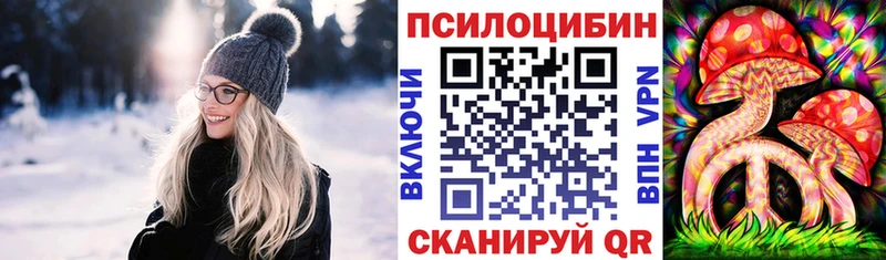 даркнет какой сайт  наркошоп  Тырныауз  Псилоцибиновые грибы MAGIC MUSHROOMS 