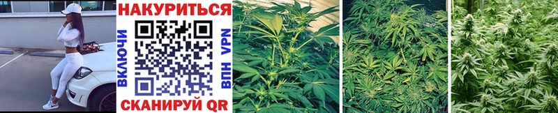 Марихуана Ganja  Тырныауз 